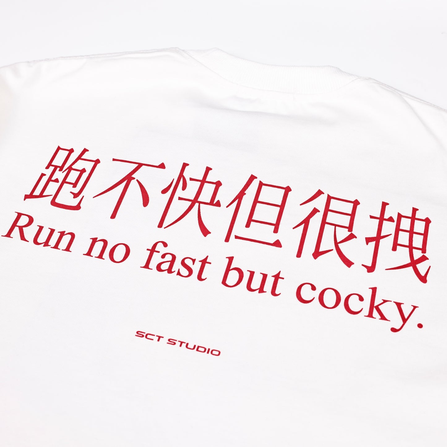 SOCIETY | Aerodyne Int Chcky Horse Tee White - SWAGANZ