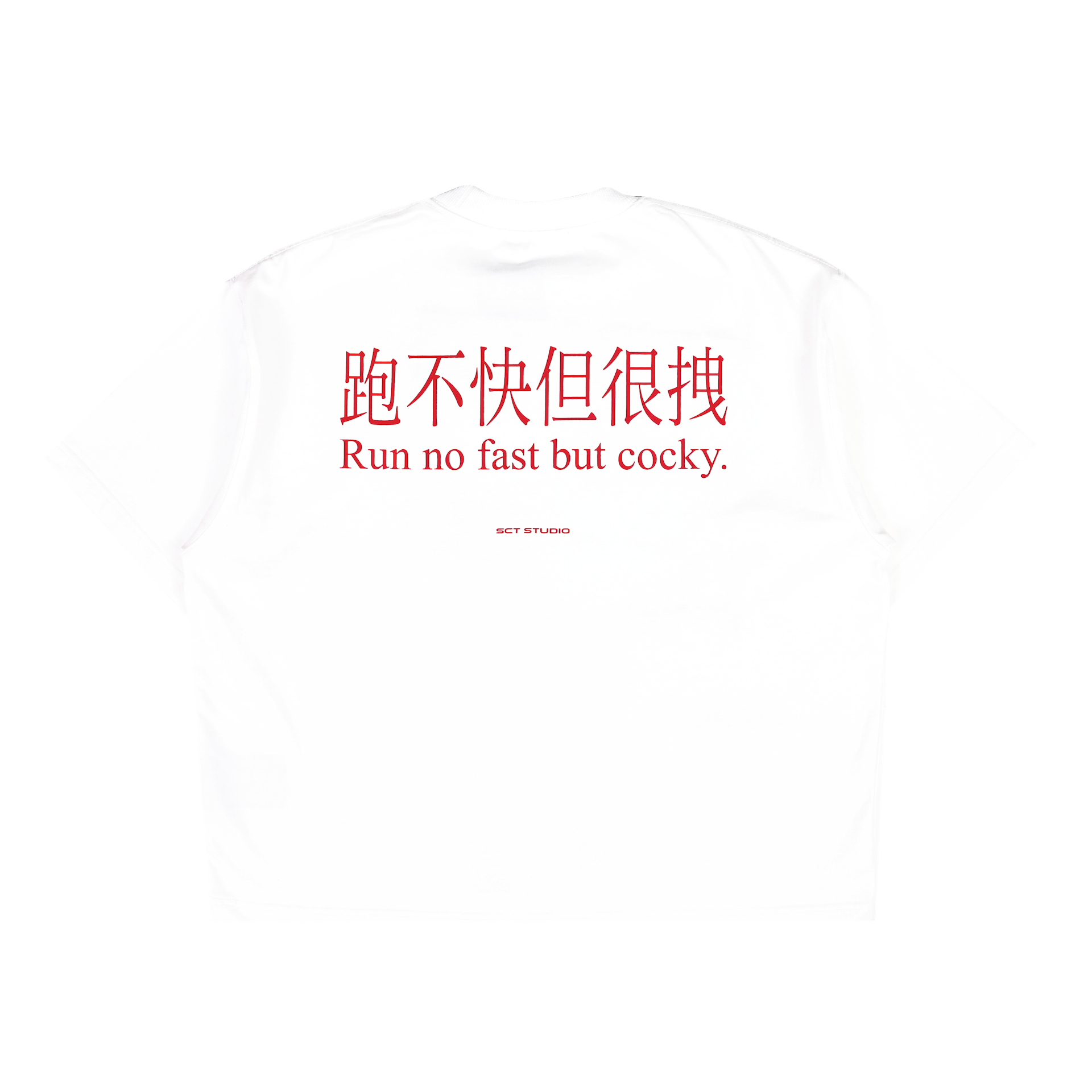 SOCIETY | Aerodyne Int Chcky Horse Tee White - SWAGANZ