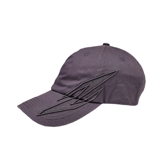 Society ｜Aero Cap Grey - SWAGANZ