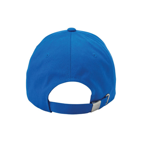 Nerdy | Big Pin Wheel Ball Cap Blue